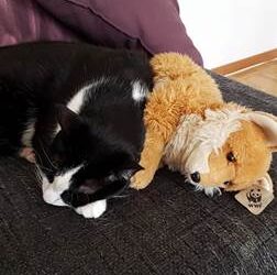 Giby, fort et patient jusqu’à la fin