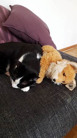 Giby, fort et patient jusqu’à la fin